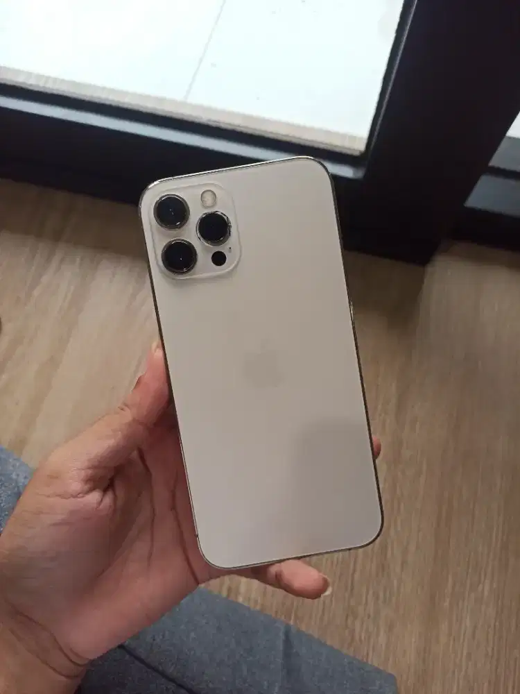 iPhone 12 Pro Max 128Gb inter