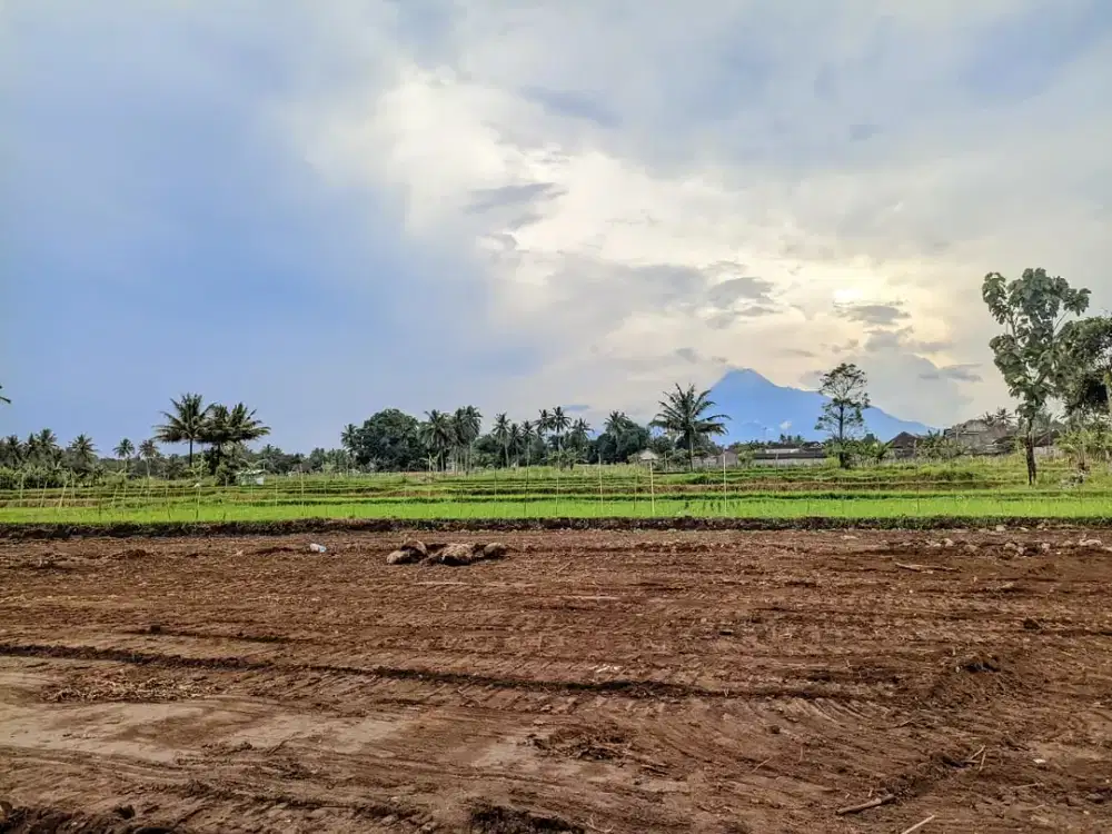 SHM Free Pajak & Balik Nama 5 Menit Masjid Suciati Sleman