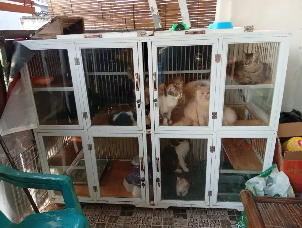 Kandang kucing FULL aluminium LARGE