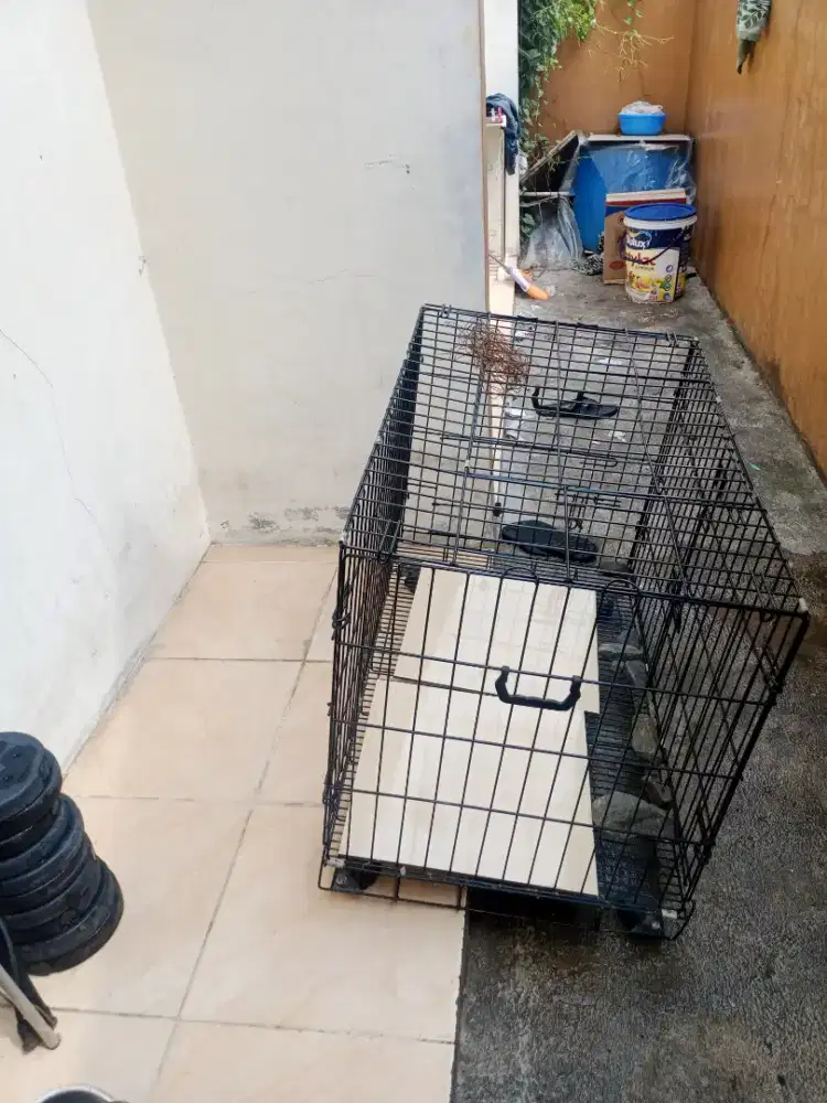 kandang hewan kucing/anjing