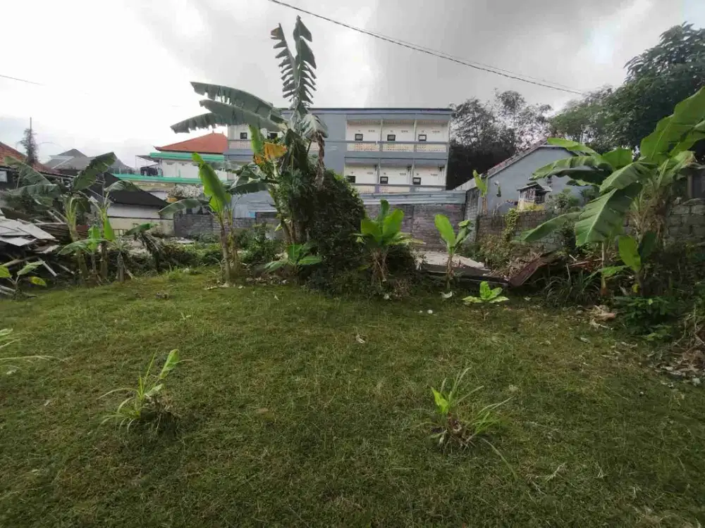 dijual tanah 250m² dekat politeknik jimbaran badung bali IDR 850 juta /are Nego