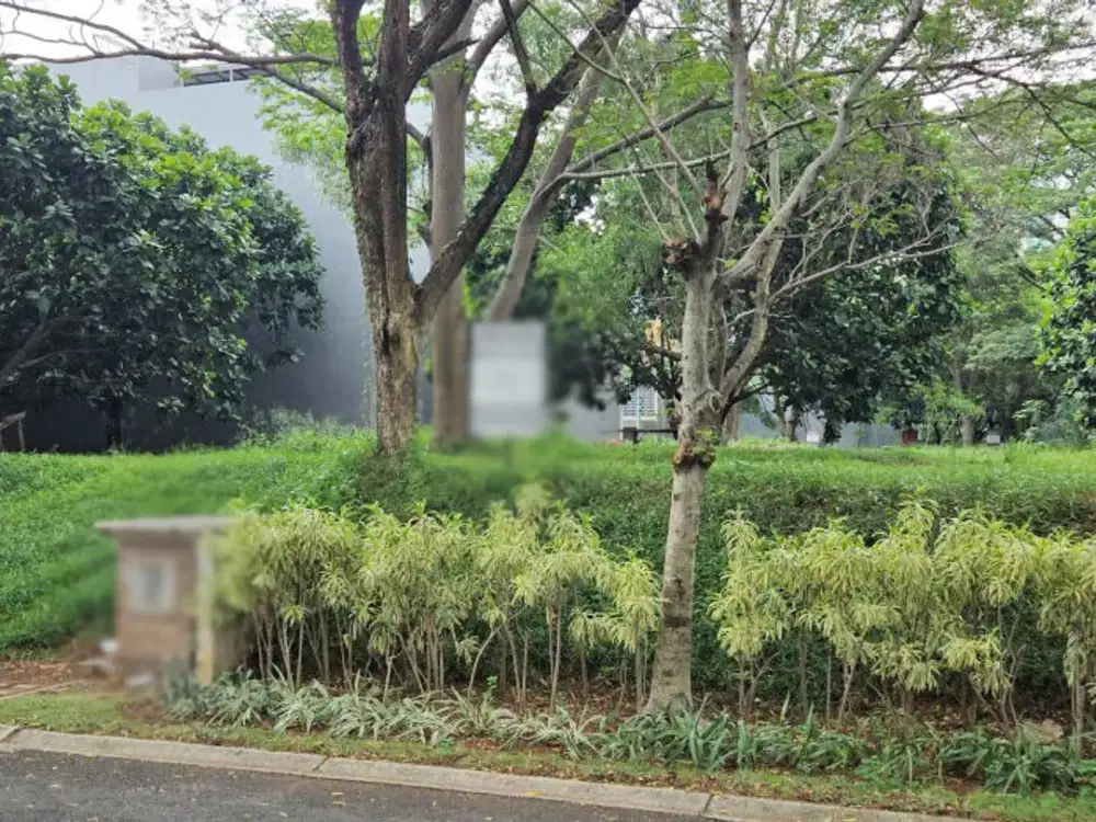 Royal Orchard cluster  penghijauan Kelapa Gading