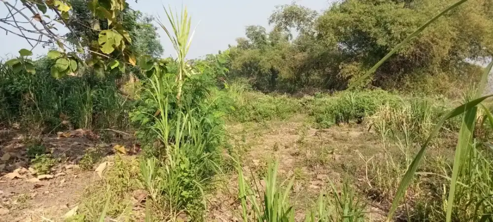 TANAH INDUSTRI LUAS 5 HA HEKTAR WONOREJO KEJAYAN PASURUAN JAWA TIMUR