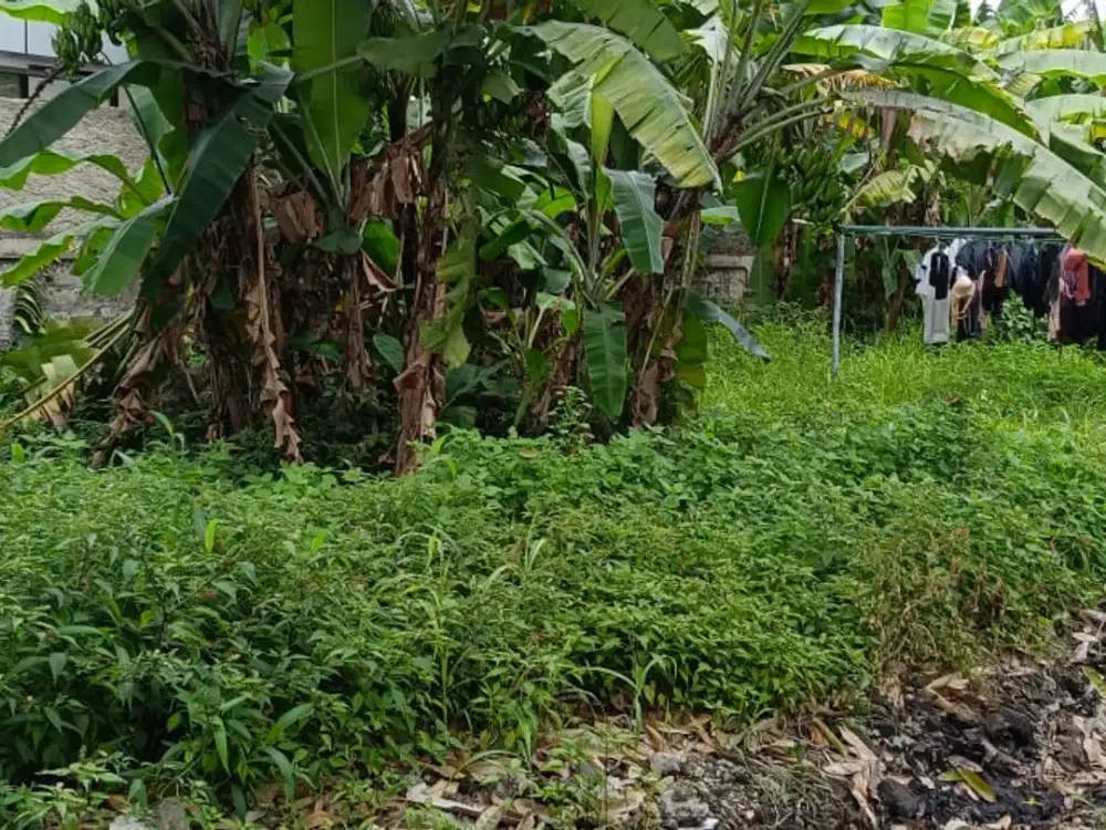 Tanah Margonda Raya, jarang ada, Depok