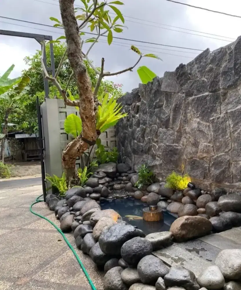 Kolam ikan natural pond