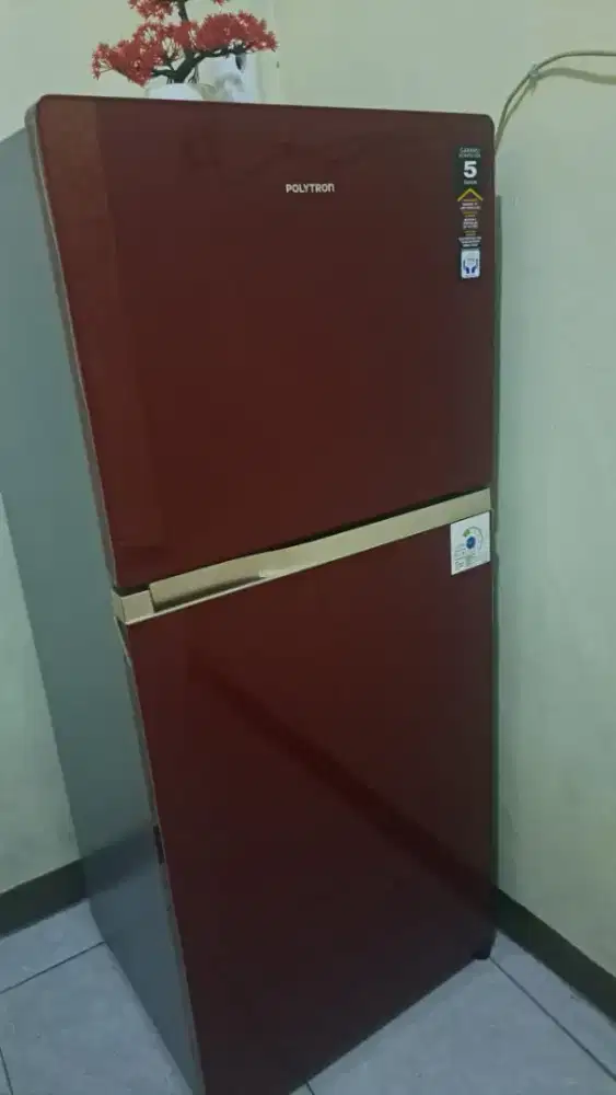 Jual Kulkas 2 pintu merk Polytron belezza