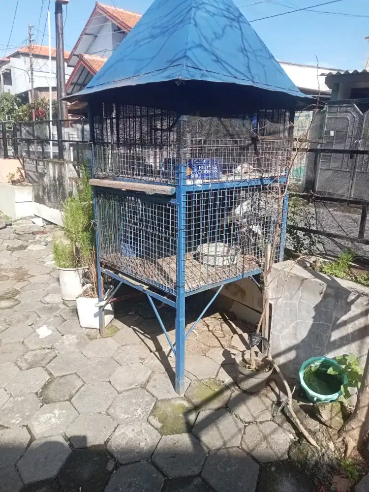 Kandang burung bakoh