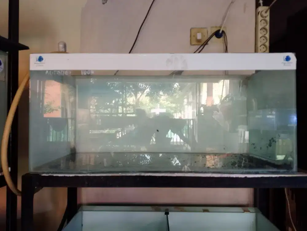 Aquarium ukuran kurbil 80*40*40