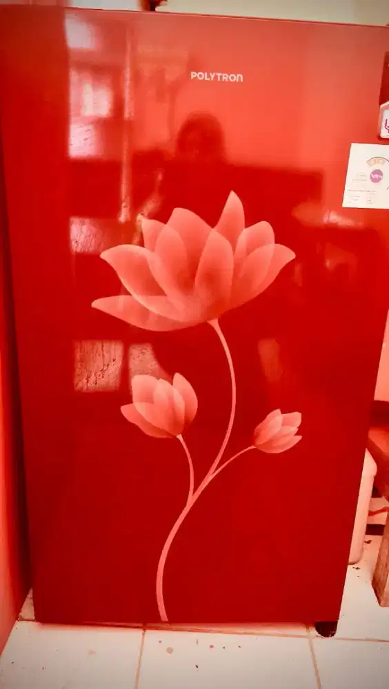 Jual Kulkas Polytron Satu Pintu