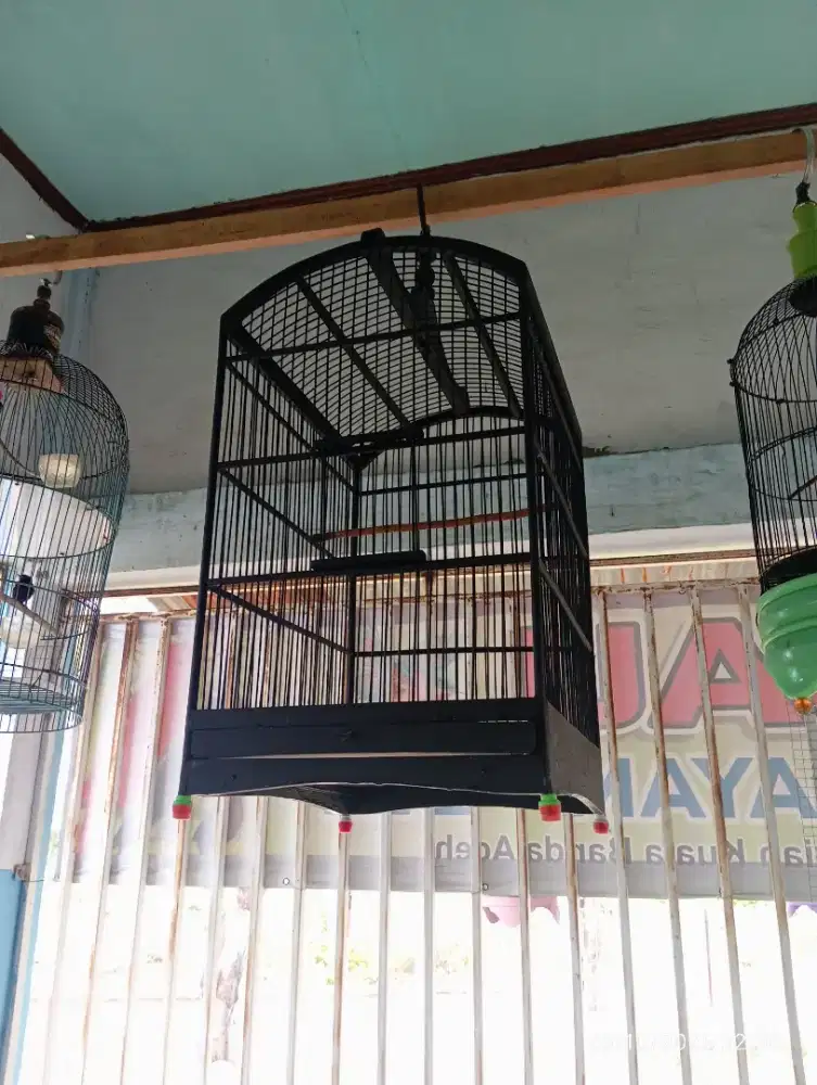 Kandang nmr dua pekas isian kacer.tgl pkek aja