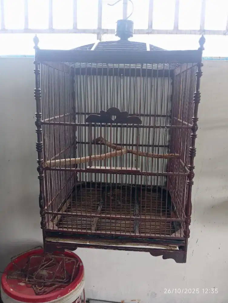 Kandang nmr satu.tgl pkek aja