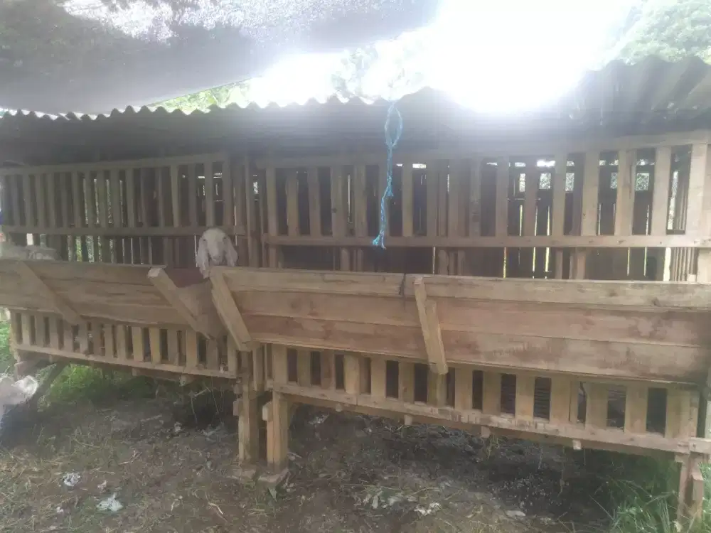 Dijual murah sangat kandang kambing