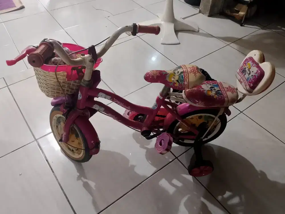 Sepeda anak kecil motif little ponny