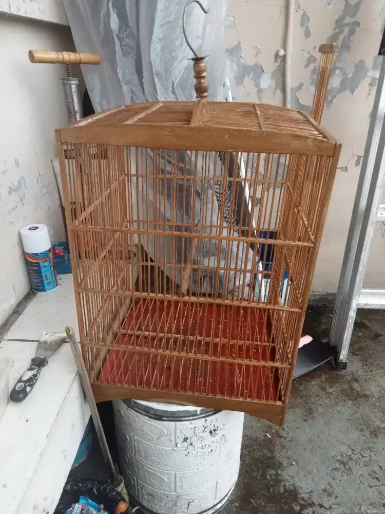 Jual kurung burung