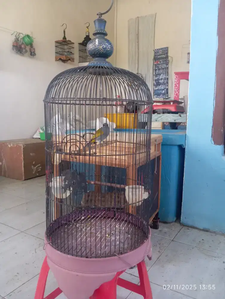 Sangkar sama burung