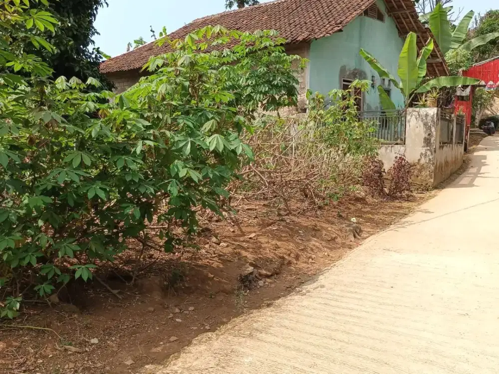 Dijual Murah Tanah SHM Di Pedesaan Wanayasa Purwakarta