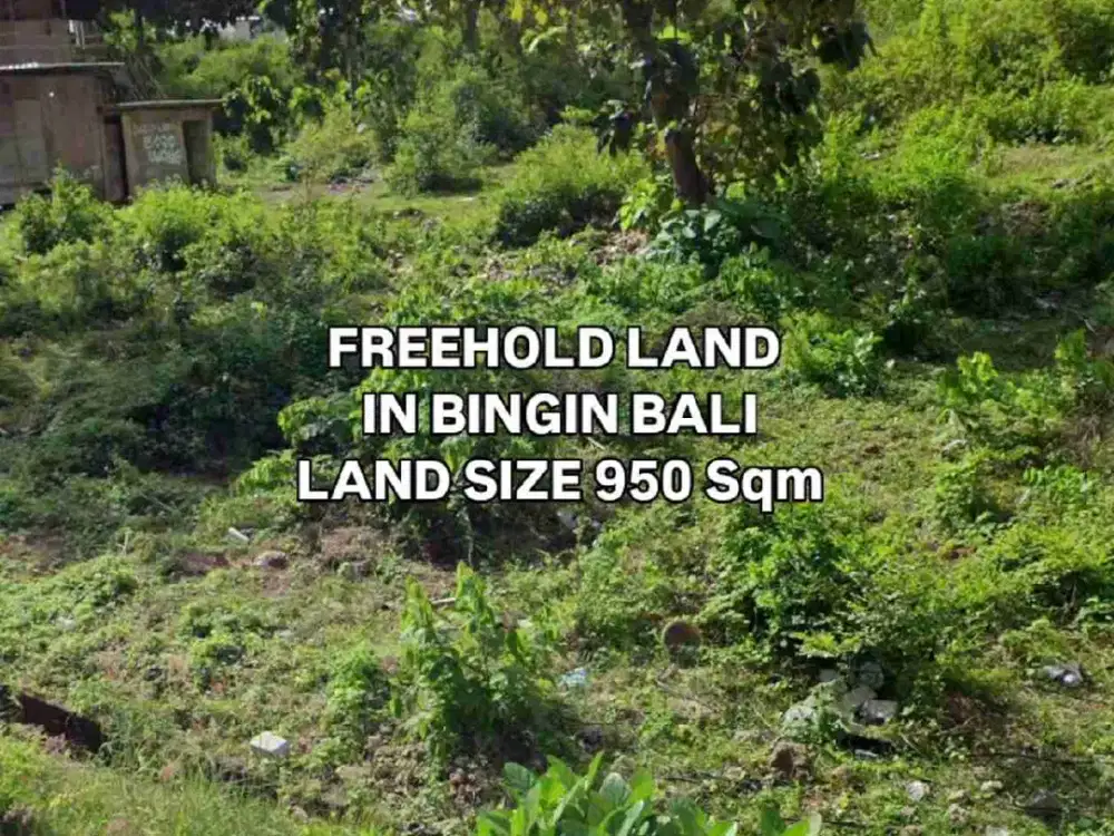 Tanah di Pantai Bingin Pecatu Kuta Selatan Badung Bali