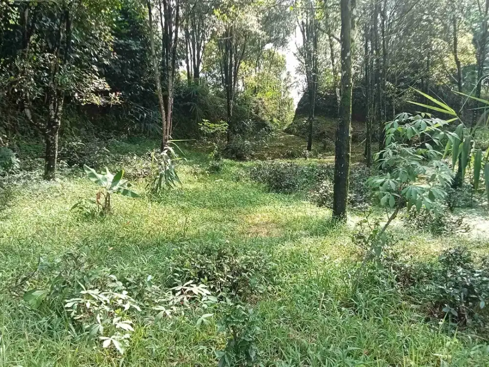 Tanah Kawasan Villa 2021 m, Pinggir Jalan, Bojong, Purwakarta.