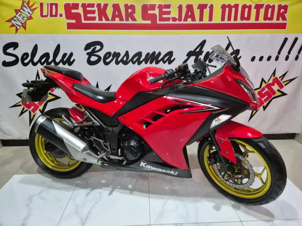 Kawasaki Ninja 250 Fi Ready