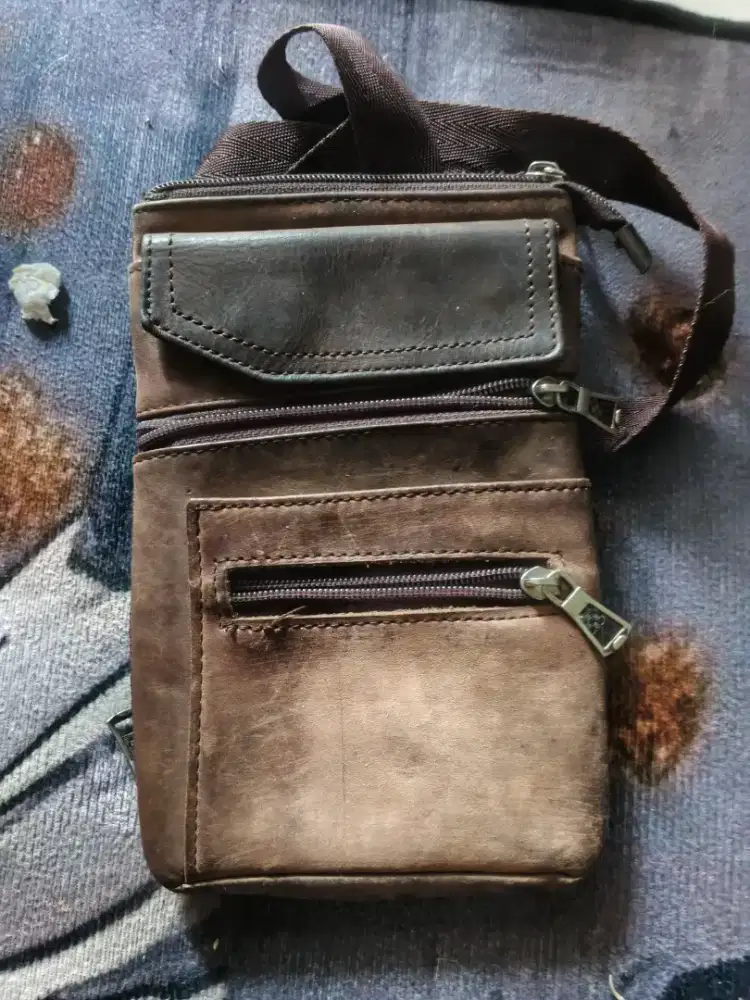 tas kulit dinosaurus