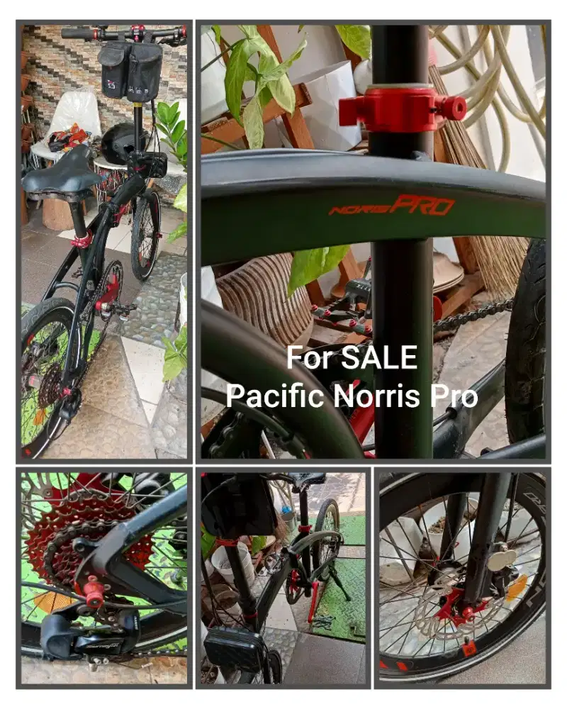 DiJual Murah merk Pacific Norris Pro.