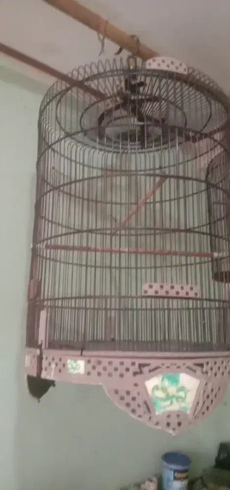 Jual sangkar murai afeilik soloan