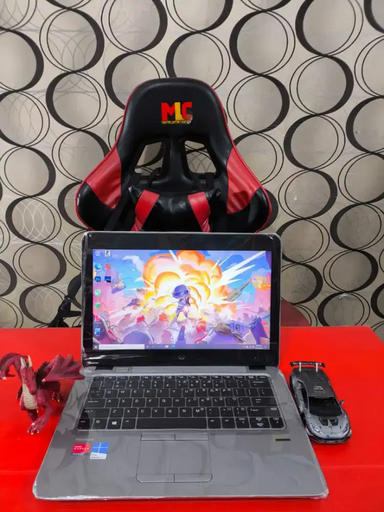 HP Elitebook 725 G3 [RAM 8GB SSD 256Gb]