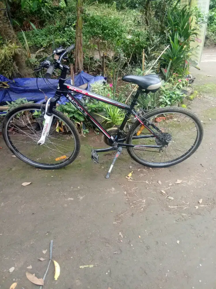 Wimcicle 26 sok empuk normal