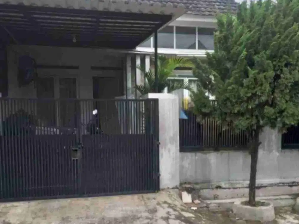 Rumah Bagus Jl Vinca 5 Griyaloka BSD
