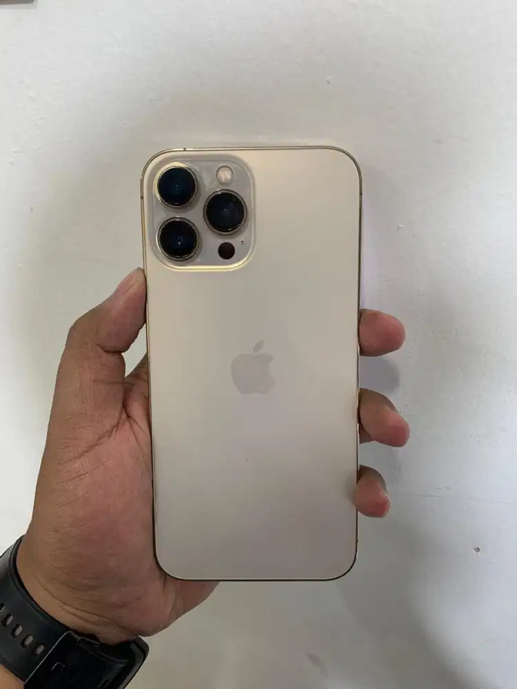 iphone 13 pro max 128 inter