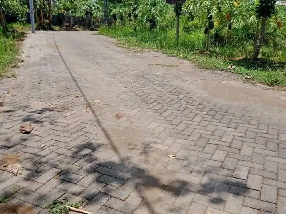 Promo Tanah Kavling Murah Tambakasri Tajinan Malang free SHM an pembeli