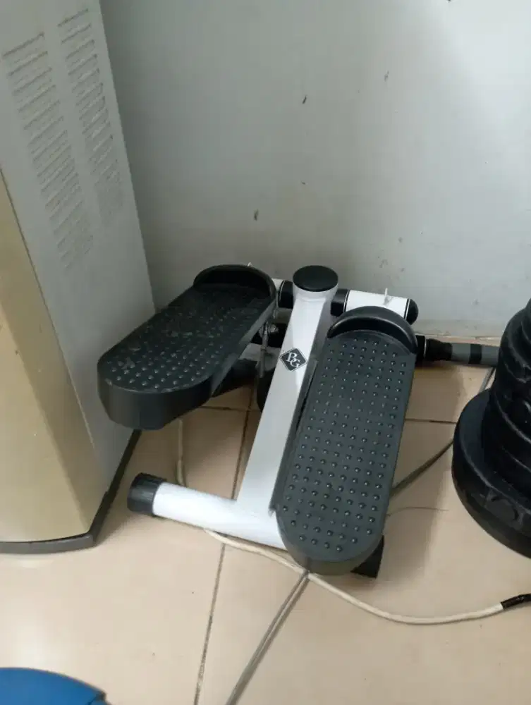 Mini stepper machine