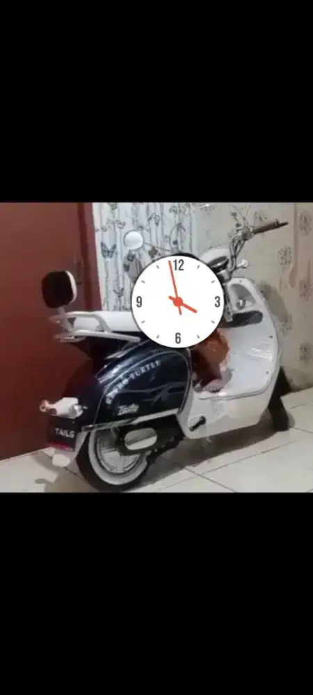 Sepada listrik Tailg gr51