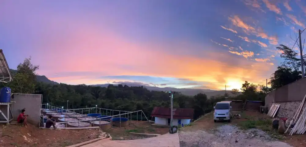 ABK (Anak Buah Kolam)
