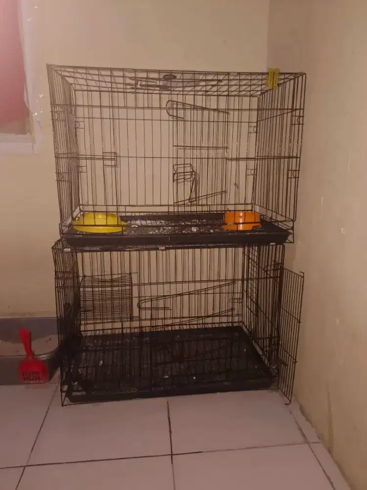 Kandang kucing 75*50 cm