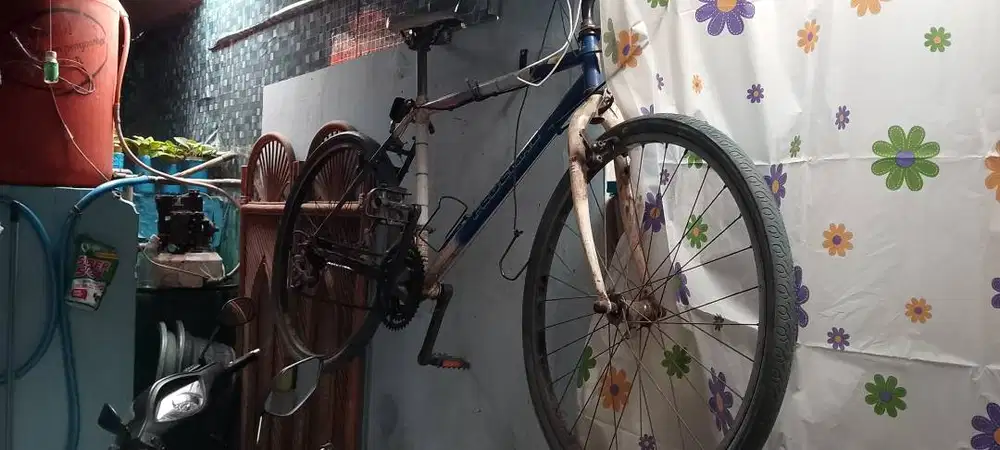 Sepeda Federal Street Cat SS