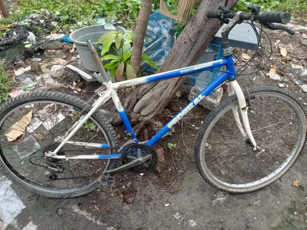 Sepeda gunung federal