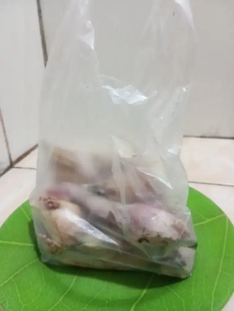 Kepala ayam kampung asli