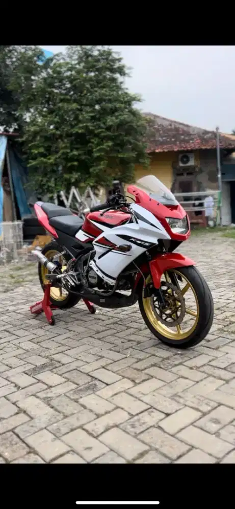 Ninja RR new 2014