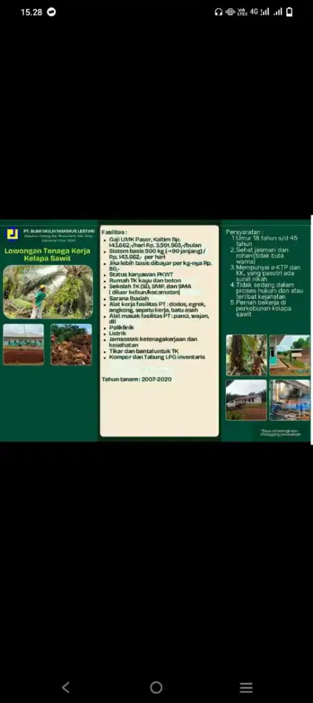 Loker kelapa sawit kalimantan Timur,,