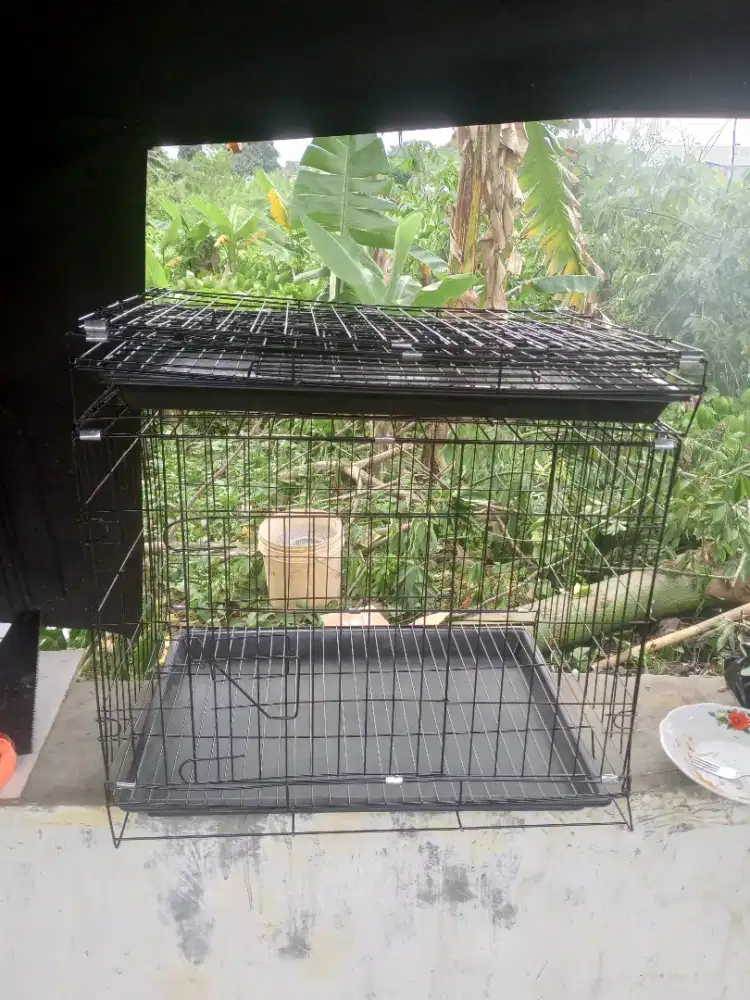 Kandang besi kucing 60x40x50 medium