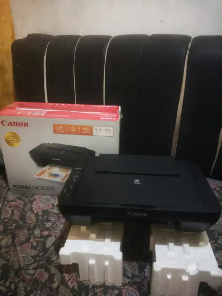 Printer Canon MG2570s