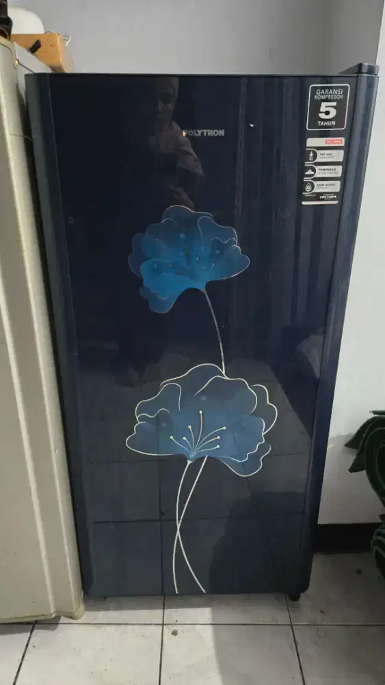 Kulkas 1 pintu polytron