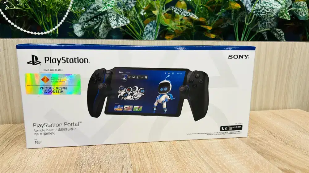 Playstation portal