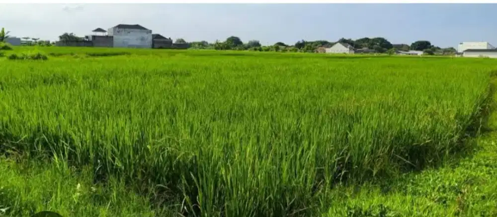 JUAL TANAH STRATEGIS DALAM RINGROAD