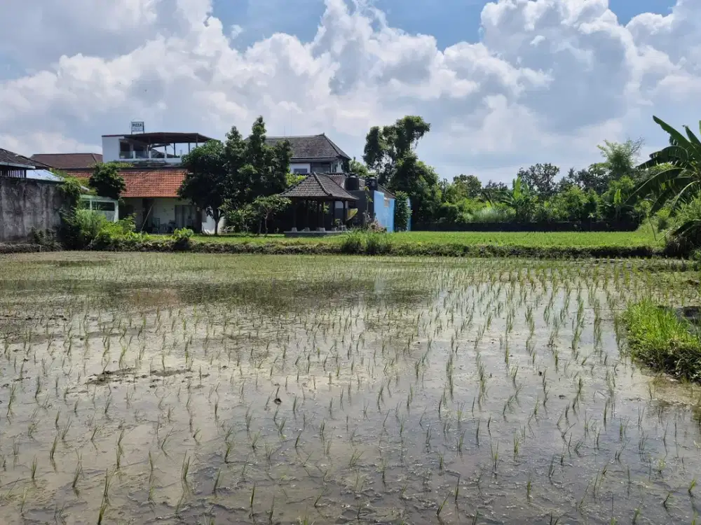 Land For Sale Near Keramas Beach, Gianyar