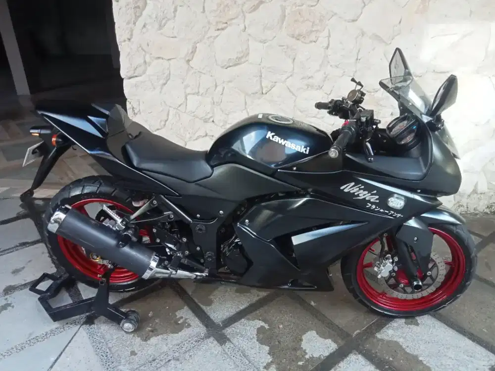 Kawasaki ninja 250 karbu