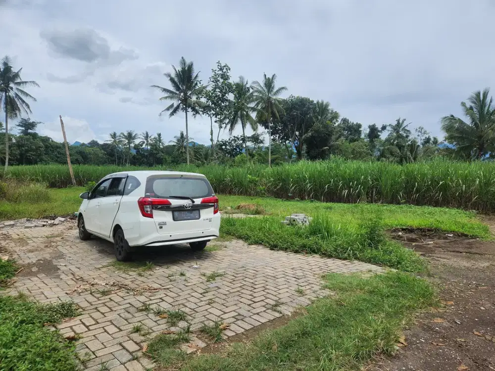 Dijual Tanah Malang PakisJajar, Dekat Exit Tol Pakis dan Pasar Pakis