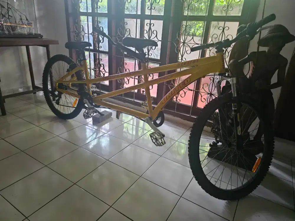 Sepeda tandem stellar