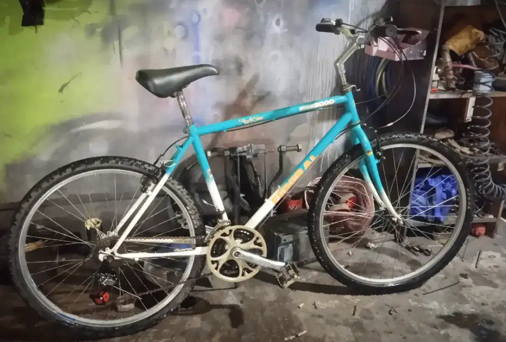 Sepeda Commuter bike 26